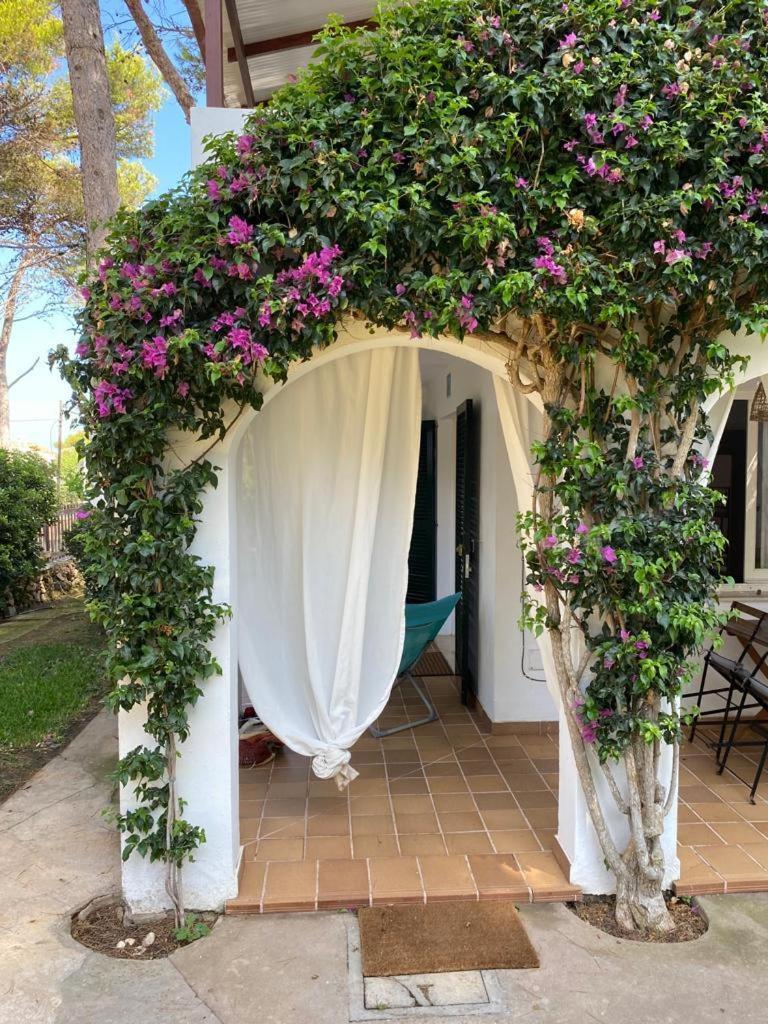 Bellver 1, Ciutadella-Cala Blanca كالا بلانكا الغرفة الصورة